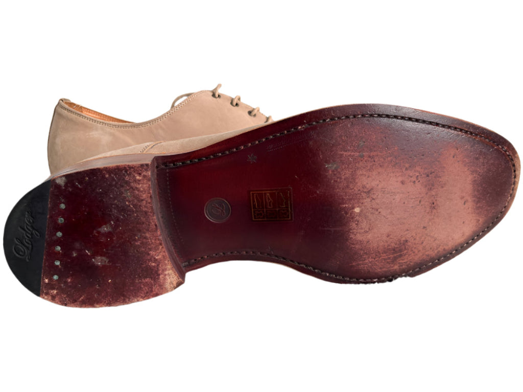 Lodger by Lutwyche Suede Shoes - UK8