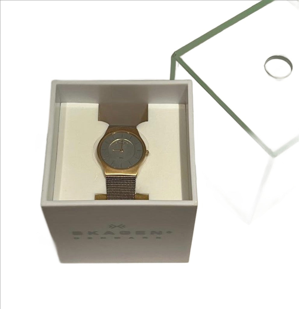 Skagen Watch 233SGS in Box