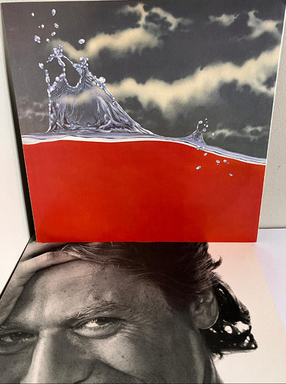 Vinyl record with a water splash design on a red background - Robert Plamer Riptide