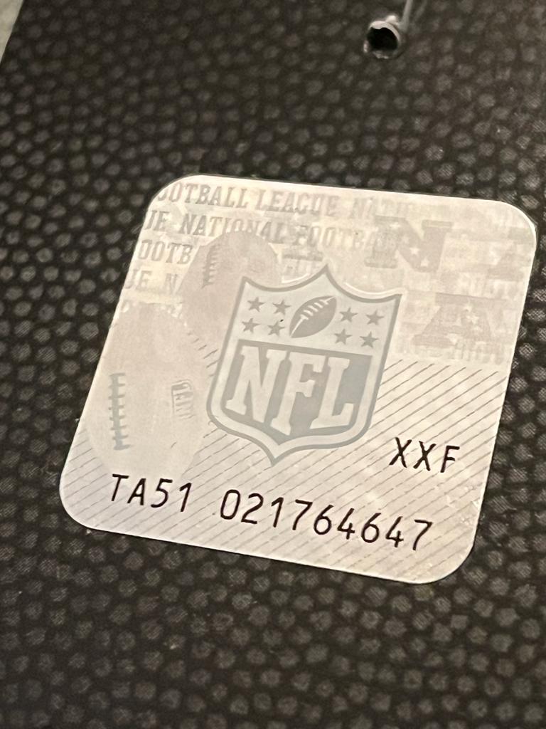 Nike 2015 Miami Dolphins NFL Hologram