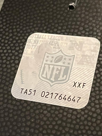 Nike 2015 Miami Dolphins NFL Hologram