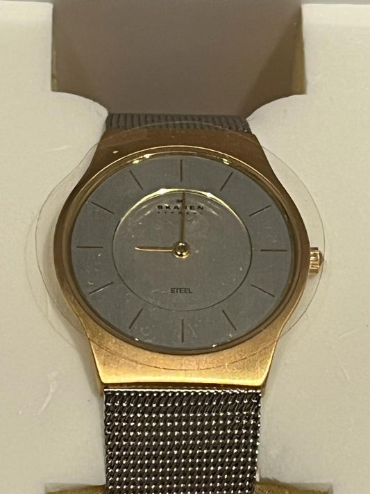 Skagen Watch  233SGS Face